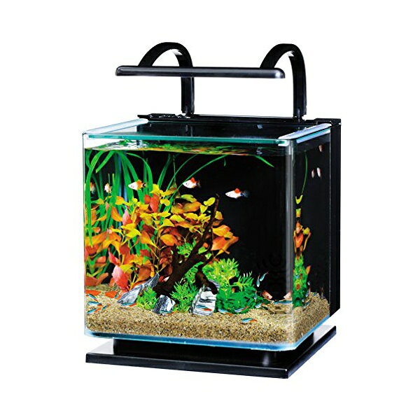 スペクトラム ブランズ ジャパン テトラ リビングキューブ 12