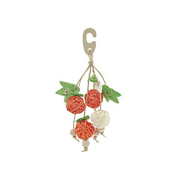 【6個セット】 三晃商会 A14 ナチュラルハンガー フルーツ