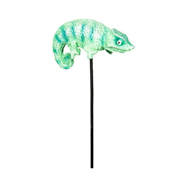 【3個セット】 水作 ミニチュアピックゴールドカメレオン