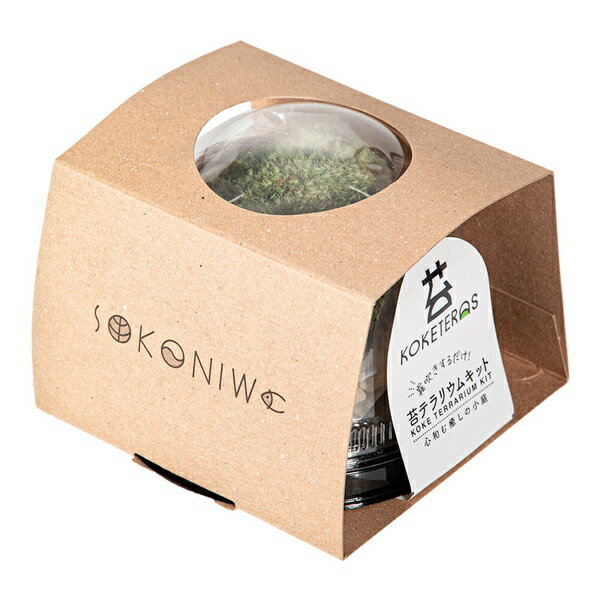 水作 苔テラリウムキット