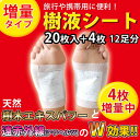 足裏樹液シート携帯用パック(20枚+4枚増量)両足12回分