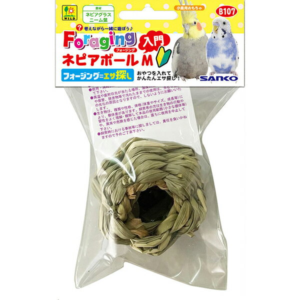 【6個セット】 SANKO 三晃商会 フォージング入門 ネピアボール M 安心素材