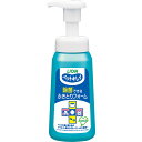 【6個セット】 ライオン ペットキレイ 除菌できるふきとりフォーム 本体 250ml 抗菌 犬・猫 LION ライオンペット ライオン商事 ワンちゃん お手入れ ボディケア 共通グッズ ペットグッズ 犬猫兼用 手入れ用品 ペット用品 デイリー 犬用品 ポンプ 安心素材(4)
