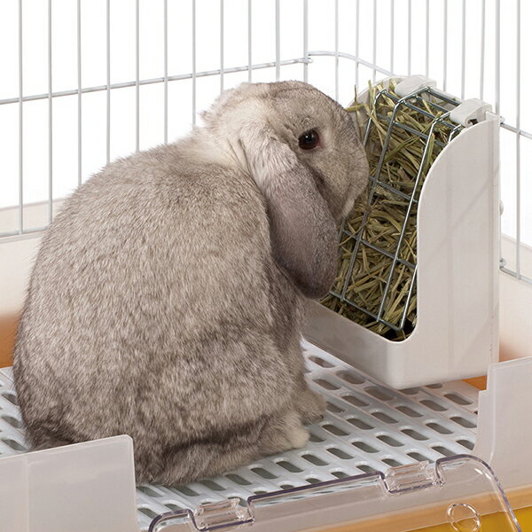 ��10�ĥ��åȡ� �ޥ륫�� �����ѥ����ե������� ������������åȡ��������ʤɤξ�ưʪ MR-625 W144XD94XH210 MARUKAN �Хˡ����졼�� �ڥå����� �ե������� ������� �������� ��ưʪ ����饤�� ���� ���å� ������ ���� ���� ����å� �¿��Ǻ�