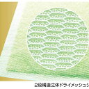 【10個セット】 ライオン サラリ 瞬乾ペットシート ワイド 24枚入 犬 シート LION ライオンペット ライオン商事 トイレシーツ シャンプー ワイドサイ...