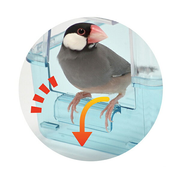 ��10�ĥ��åȡ� B51 ��Ļ�β�Ŭ�Х������� �� �������� �¿��Ǻ�