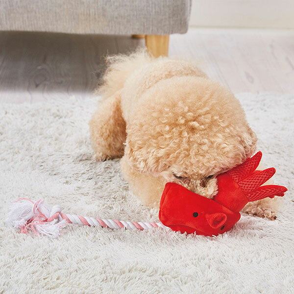 【6個セット】 ペティオアドメイト スタディロープトイ たこ ストレス解消 アドメイト 犬用おもちゃ ドッグトイ ペット用品 犬用品 犬用玩具 ロープ ペティオ 全年齢 ペット おもちゃ 小型犬 子犬 玩具 安心素材 3