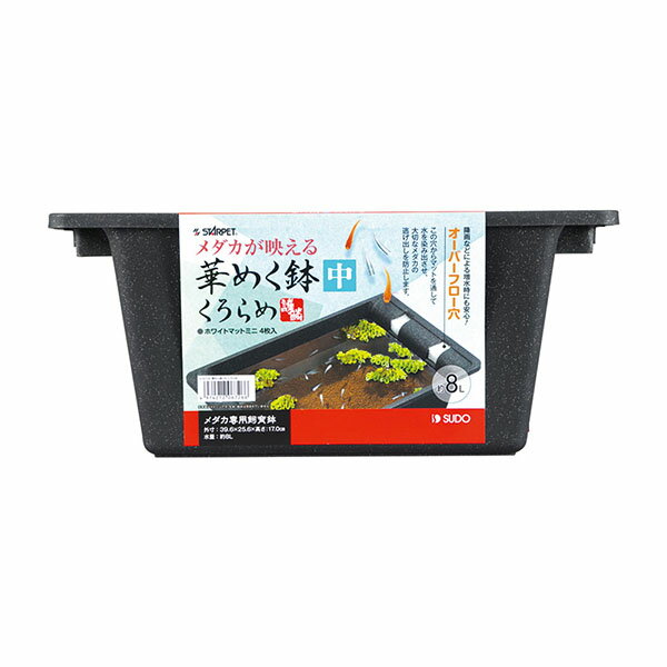 【3個セット】 スドー 華めく鉢 中 くろらめ スターペット ペット