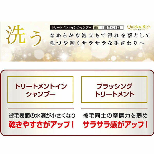 ��12�ĥ��åȡ� �饤���� Quick & Rich �ȥ꡼�ȥ��ȥ��󥷥��ס� ������ ��ե�å��奵�ܥ� �ݥ�ץ����� �饤����ڥå� ���ѥ����ס� �饤���󾦻� �������� �����ס� �ڥå����� �ݥ�� ��� �ڥå� �¿��Ǻ�