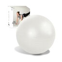 アルインコ ALINCO バランスボール 直径65cm 椅子 スツール 軽量 空気入れ付き 運動マニュアル付き ストレッチ フィットネス ヨガ エクササイズ バ...
