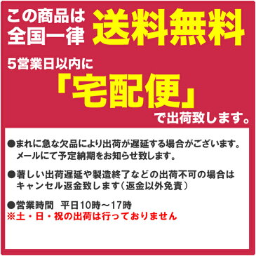 メダカ元気快適・繁殖ケースL