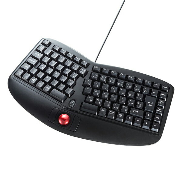 サンワサプライ SKB-ERG5BK エルゴノミクスキーボード ペリフェラル キーボード SANWA SUPPLY 送料無料