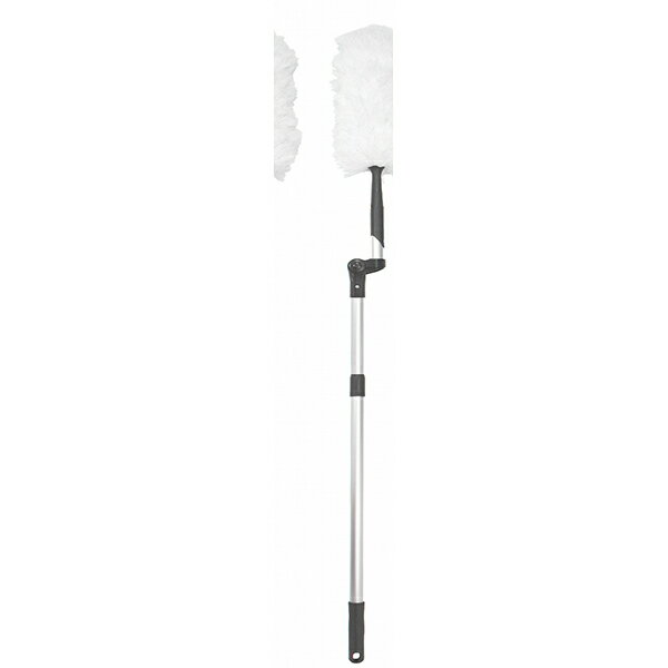 ��24�ĥ��åȡ� ���ܥ����ƥå� CLEAN TIMES �󿶤���ť������� ���̥��� ���� �������� �������� ��å� ��դ���ť������� ���ť������� ...