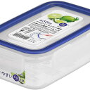 岩崎工業 イージーケア650mL A-2172BN 保存容器 フードケース ブルー 抗菌 レンジ対応 食洗機対応 プラスチック容器 イージーケア フードストッカー 密閉 容器 食品 保存 キャニスター 電子レンジ対応 フリー 食品保存容器 ロック付き 角型