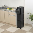 【20個セット】 新輝合成 除草剤散布用ハスの実 内径16mm 清掃用品 ゴミ箱 じょうろ 園芸用品 ハスの実 ガーデニング 散水用品 グリーン トンボ じょう...