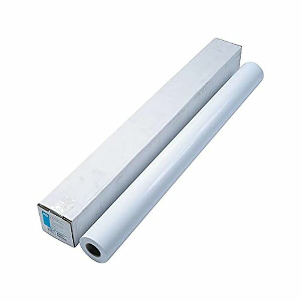 【正規代理店】 HP Q6576A スタンダード速乾性光沢フォト(1067mm) 送料無料