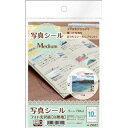 【5個セット】 エーワン 29622 写真シール Medium フォト光沢白無地紙 5シート(50片)