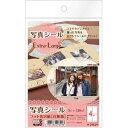 【5個セット】 エーワン 29629 写真シール Extra-Large フォト光沢白無地紙 5シート(20片)