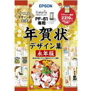 【10個セット】 EPSON PFND20B 年賀状デザイン集永年版