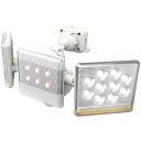 【10個セット】 musashi LED-AC2030 LEDセンサーライト RITEX