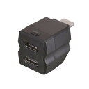 【10個セット】 セイワ F349 レインボーイルミ2USBコネクタ CtoC×2 ブラック(2)