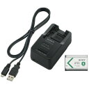 【10個セット】 ソニー ACC-TRBX アクセサリーキット