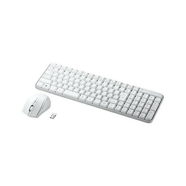 サンワサプライ マウス付きワイヤレスキーボード SKB-WL25SETW マウス付きワイヤレスキーボード（静音ブルーLEDマウス・ホワイト） 送料無料