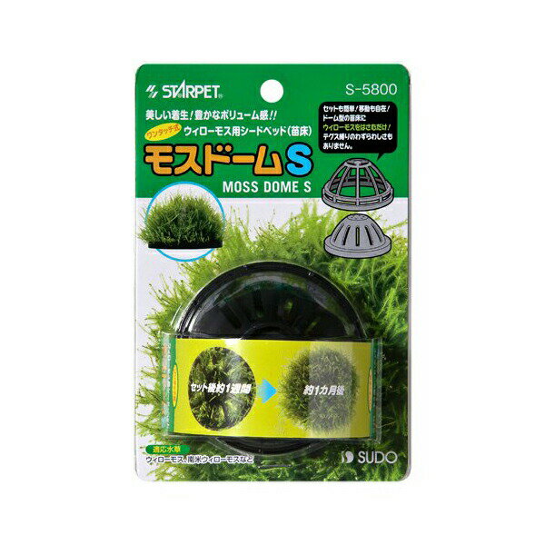 养育水草方面 - 【3個セット】 スドー モスドーム Sサイズ 8211750 熱帯魚・観賞魚 全成長期 SUDO 魚用品 観賞魚 ペット 用品 水槽用アクセサリー 安心素材