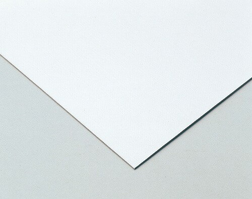 其它 - 【10個セット】 アーテック ArTec 片面キャンバスボード 8切 八ツ切 おすすめ 自由工作 図工 スケッチ 美術 作品 学校 教材 学習 ボード 画材 パネル 学習教材 書道 高品質