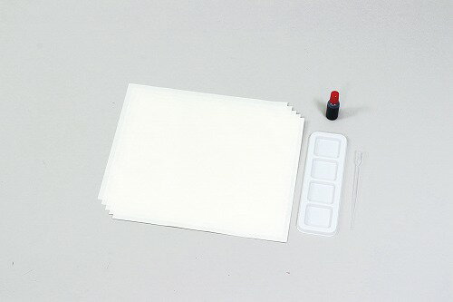 【10個セット】 アーテック ArTec 水墨画個人セット 中学生 学生 図工 絵画 美術 簡易パレット 教育 宿題 初心者 水墨画 学校 教材 パレット 水墨画用紙 制作 伝統工芸 画材 高校 中学 自由研究 アート 小学生 工作 デザイン 用紙 高品質