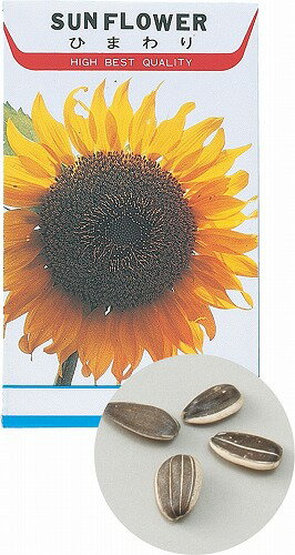 Other - 【8個セット】 アーテック ArTec 花の種 ヒマワリ キッズ 理科 栽培 学校教材 子供 ガーデニング 農業体験 家庭菜園 学校用品 冬休み 小学校 自由研究 苗床付 野菜作り 学習教材 小学生 夏休み 種子 高品質