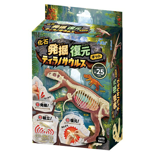 Other - 【5個セット】 化石発掘復元キット ティラノサウルス