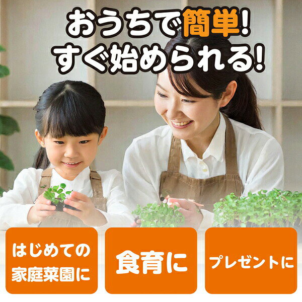 ウルマックス 楽天市場店の【2個セット】 ARTEC 水菜栽培キット ATC102935 野菜栽培 観察学習 図工教材 自由研究 家庭菜園 DIY ガーデニング｜アングル2