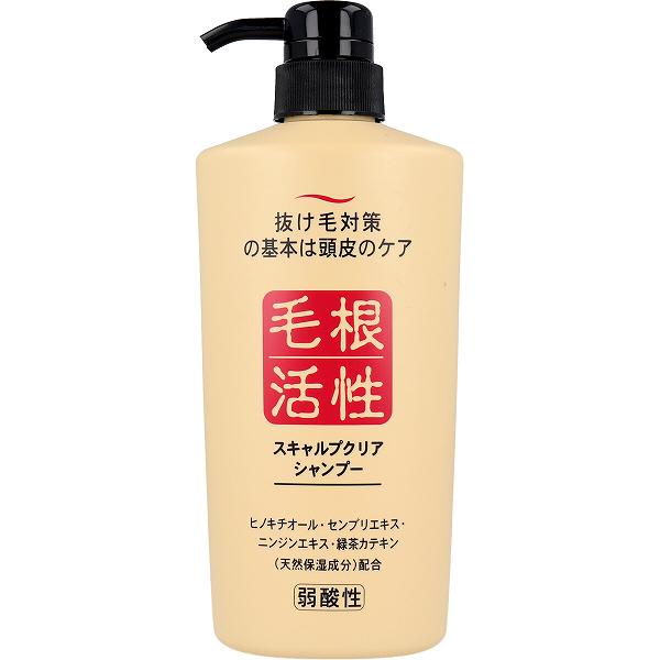 樂天商城 - 【2個セット】 スキャルプクリア シャンプー 550mL センブリエキス 純薬 ジュンコスメティック ヘアケア 潤い リンス 毛根活性 頭皮ケア 頭皮 弱酸性 抜け毛対策 本体 リンスイン 正規品 アットコスメ スカルプ 化粧品 毛根 お風呂 抜け毛予防