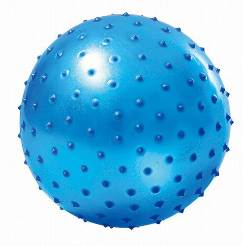 アーテック ArTec ビッグイボイボボール キッズ 幼稚園 運動 スポーツ 玩具 学校教材 子供 誕生日 ボール 男の子 学校用品 運動神経 おもちゃ 知育玩具 ブルー 一般玩具 景品 大きい 外遊び ホビー やわらかい 女の子 柔らかい プレゼント 高品質