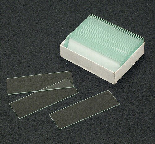 Learning Materials - アーテック ArTec スライドグラス 50枚 キッズ 理科 自由工作 学校教材 子供 実験 顕微鏡 学校用品 安全メガネ 自由研究 学習教材 小学生 幼児 学校文具 高品質