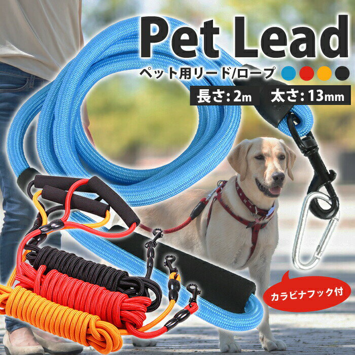 サンプル画像2