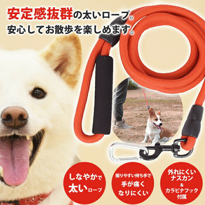 サンプル画像3