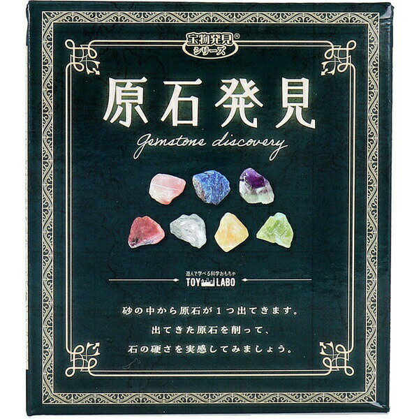 【10個セット】 遊んで学べる科学おもちゃ 宝物発見シリーズ 原石発見 1セット