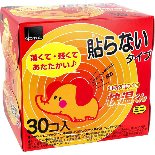 【3個セット】 はらない快温くんミニ30コ入 オカモト カイロ