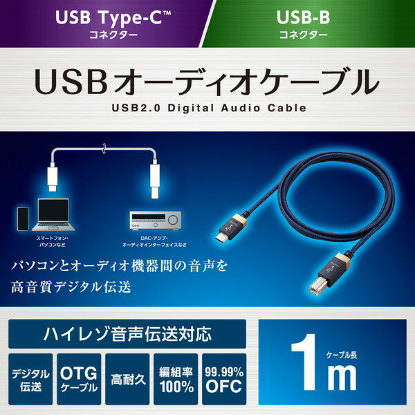 【2個セット】 エレコム DH-CB10 オーディオケーブル C-B AVケーブル 音楽伝送 USB...
