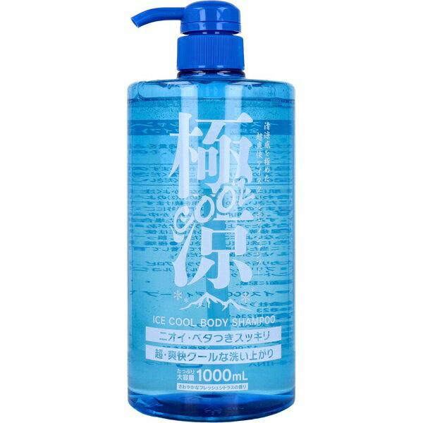 【3個セット】 極涼COOL アイスクールボディシャンプー さわやかなフレッシュシトラスの香り 1000mL