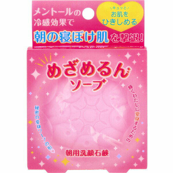 香皂 - 【2個セット】 朝用洗顔石鹸 めざめるんソープ 90g