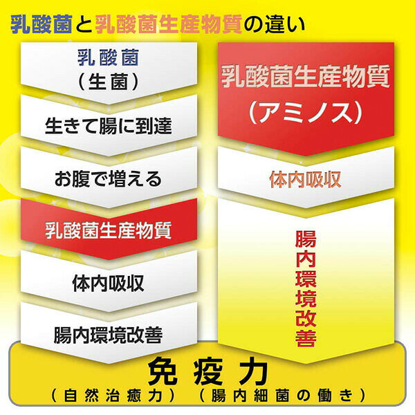 【10個セット】 トーラス トーラスアミノス 30 乳酸菌生成物質 30ml 液体 犬 大人 ...