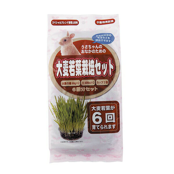 Other - 【10個セット】 アラタ うさちゃん用大麦若葉栽培セット 6回分 パウダー 小動物 全成長期 小動物フード おやつ うさぎ ペット 毛玉 用品 安心素材