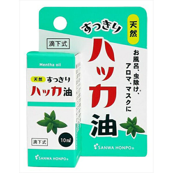 【48個セット】 すっきりハッカ油(4.0)