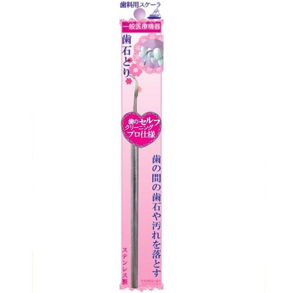 【288個セット】 歯石とり OL-009