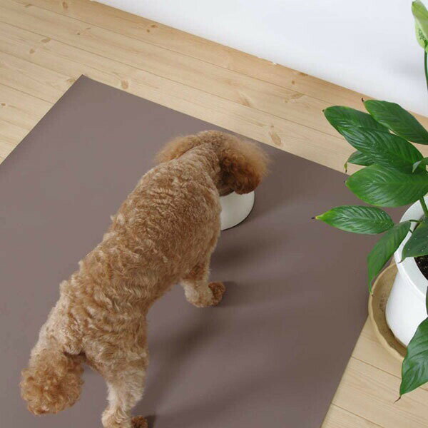 Medium-Sized Dogs - 【6個セット】 三愛繊維 コンフィマルチシート 115×80 ブラウン 滑り止め クッション 高齢犬 シート ペット用 ネコ イヌ 国産 日本製 介護 マット 防水 グレー 無地 中型犬 ペット 犬用 吸着 大型犬 老犬 小型犬 猫用 老猫 安心素材