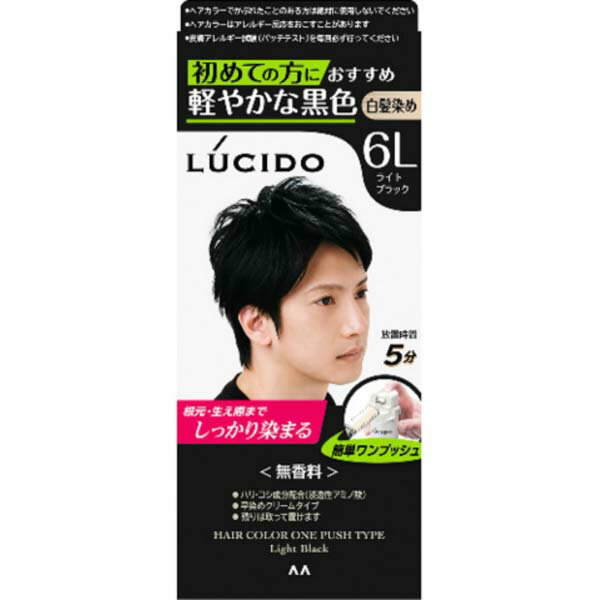 【24個セット】 マンダム ルシード ワンプッシュケアカラー ライトブラック (医薬部外品) メンズ用 白髪染め コスメ 無香料 化粧品 男性 男性用 クリームタイプ メンズ 白髪用 ヘアカラー カラーリング ヘアケア 白髪染めヘアカラー アットコスメ