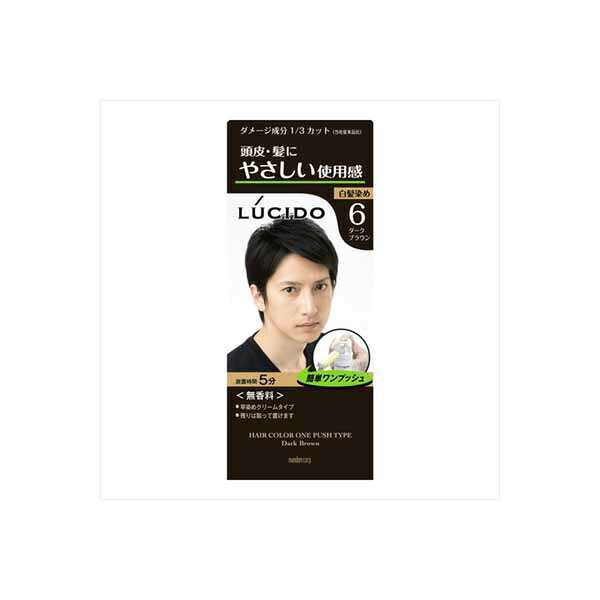樂天商城 - 【10個セット】 ルシード ワンプッシュケアカラー ダークブラウン 医薬部外品 マンダム ヘアカラー